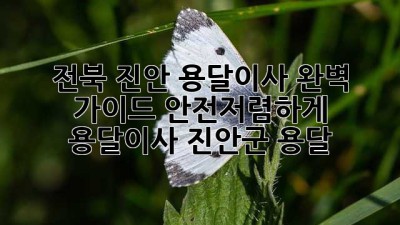 전북 진안 용달이사🚚 완벽 가이드: 안전+저렴하게! #용달이사 #진안군 #용달
