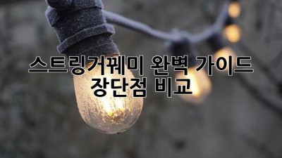 스트링거꿰미 완벽 가이드: 장단점 비교